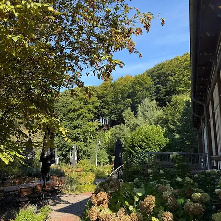 호텔 Wellnesshotel Waldquartier Gmbh 바트에센